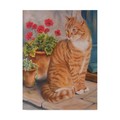 Trademark Fine Art Janet Pidoux 'Ginger Cat On Doorstep' Canvas Art, 24x32 ALI36628-C2432GG